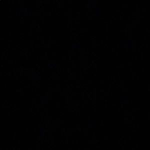 Meet your Posher, Lexie